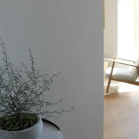 Boutique Mit Domblick Падерборн