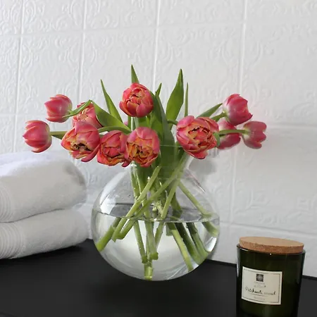 Boutique Mit Domblick 公寓 *