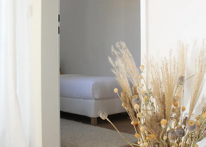 Boutique Mit Domblick Lejlighed