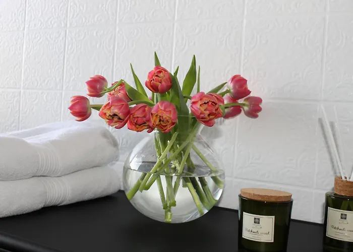 Boutique Mit Domblick Lejlighed *